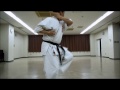 gojuryu internatinaol karatedo kobudo union yuzenkai japan